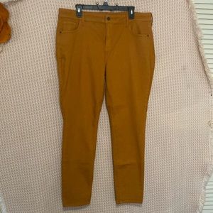 Women Pants